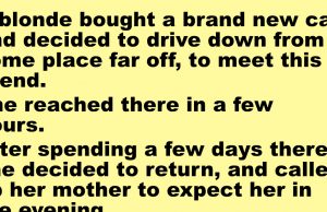 A Blonde Bought A Brand New Car And Decided To Drive