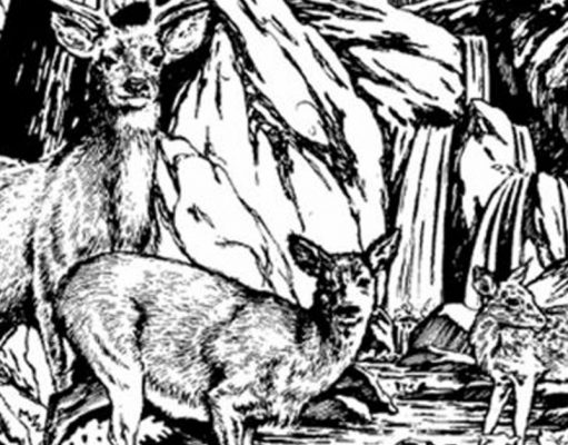 Find Dog, Pie, Fish, Dog Head.