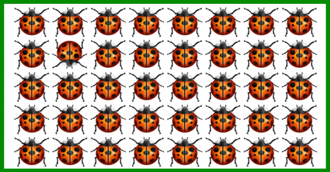 Can you SPOT the different BUG on this visual puzzle without cheating! SPOT the different BUG