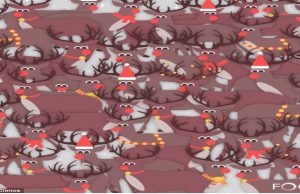Can You Spot This Cheeky Robin Perched In A Herd Of Reindeer?