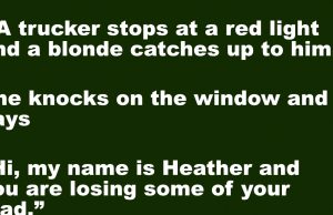 A trucker stops at a red light and a blonde catches up to him.