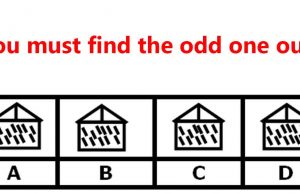 Find The Different House.