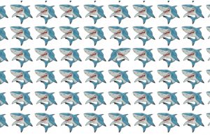 Only the sharpest eye can find the Odd Sharp in less than 15 seconds!