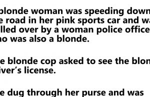 A Blonde woman was pulled over A BLONDE OFFICIER