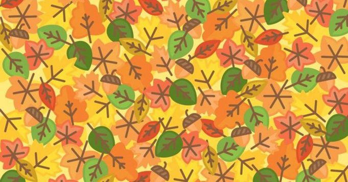 Can You Find the SUN Among the Leaves?