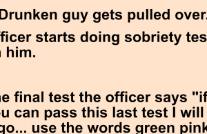 A Drunken guy gets pulled over.