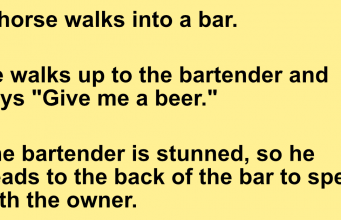 A horse walks into a bar