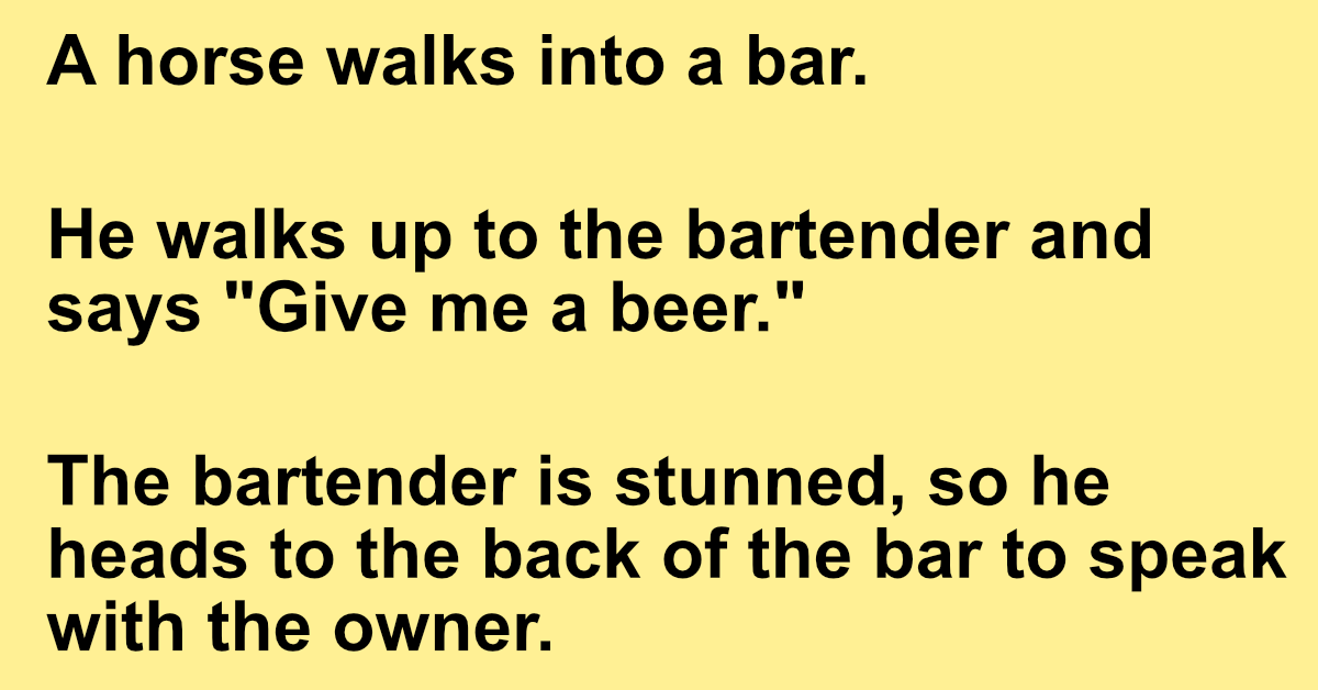 A horse walks into a bar