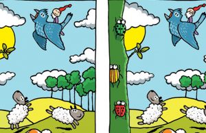 Do You See 10 Differences Between Two Pictures?