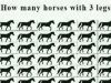 How Many Horses with Only 3 Legs?