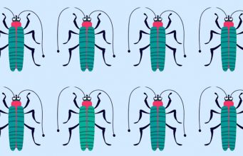 Tricky Challenge: You Have Only 30 Seconds To Find The Odd One Out!