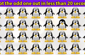 Spot The Odd One Out In Less Than 20 Seconds. Can You?
