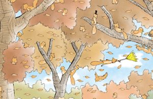 Can You Count The Squirrels?