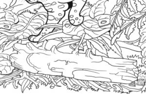 See If You Can Find The 4 Snails.