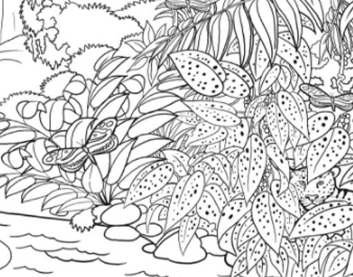 Find The 4 Butterflies In This Tropical Scene.