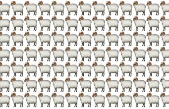 Only People With Almost Perfect Vision Can Spot The Odd One Out In All Of Our 5 Tests