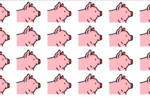 Only 5 Out Of 100 People Can Find The Different Pig!