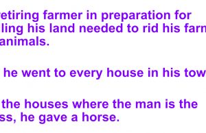 A retiring farmer wants to rid his farm of animals
