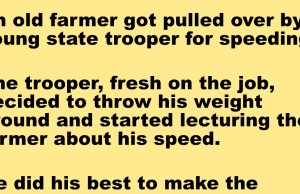 An Old Farmer Got Pulled Over By a Young Officier.