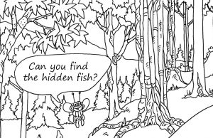 Can You Find The Hidden Fish?