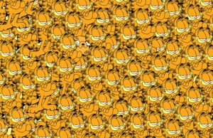 Can YOU find the dog hidden among cats?