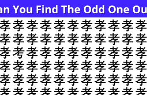 Amazing Test To Check Your Focusing Abilities! (7 Puzzles)