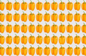 Only 1 In 20 Sharp Eyed People Can Find All The Odd One Out