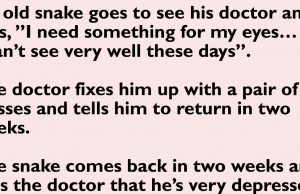 An Old Snake and a Doctor