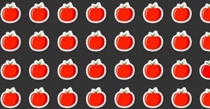 Which One Is Different From The Others?