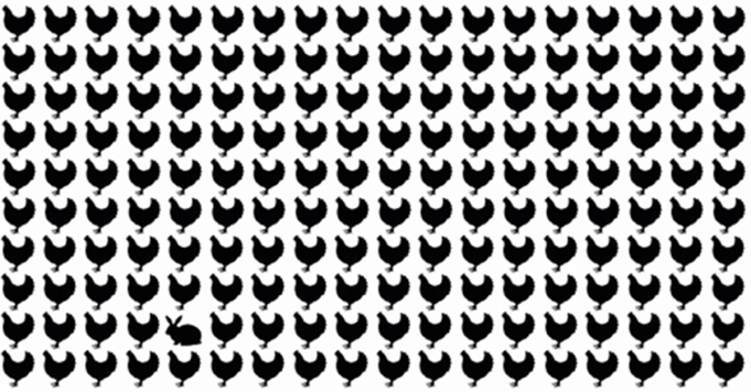 How Fast Can You Find The Odd CHICKEN Out In This Picture?