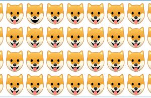 Can you find the different SHIBA in this picture?