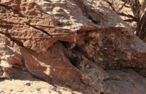 Hidden in the Rocks Illusion.