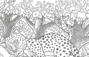 Where is The Hidden Lobster?