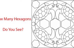 How Many Hexagons Do You See?
