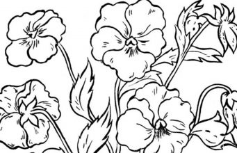 Find Three Little Elves.