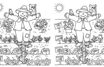 Spot 4 Things That is Different.