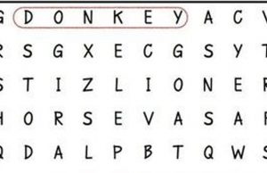 Find Donkey, Lion, Goat, and Horse.