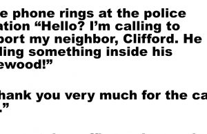 The phone rings at police station