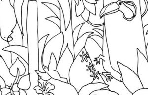 Find Two Butterflies, a Parrot, and a Hummingbird.