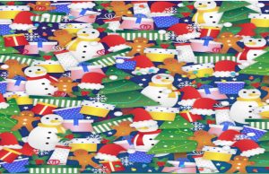 Can you spot the hidden stocking in this ridiculously hard Christmas puzzle?