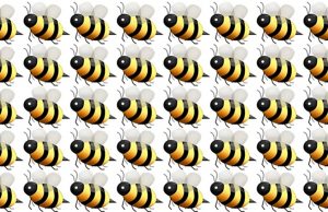 No One Can You Spot The Odd One Out On All Levels In Less Than 10 Seconds.