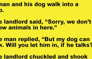 A Man And His Dog Walk Into A Pub.