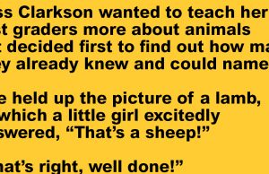 First-grade teacher is showing pictures of animals to her students