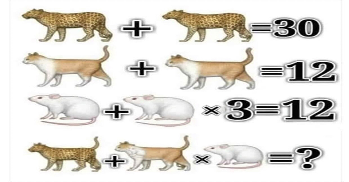 Can You Solve This Cat, Leopard And Mouse Riddle