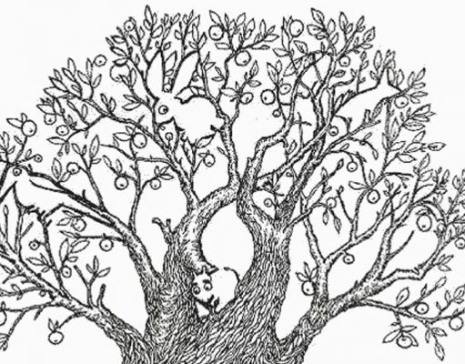 Find 5 Animals in This Picture.