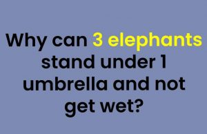 Tricky Questions That Makes Your Brain Sweat #3