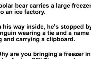 The Bear and His Freezer