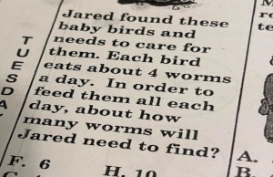 Many people stumped by this eight years old math riddle, can you solve it?
