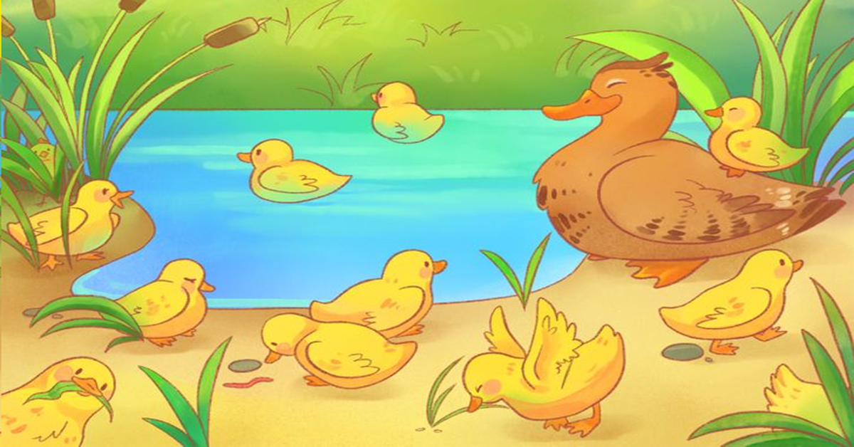 Can YOU spot the chick hidden among the ducks in under 15s?