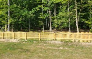 Most people fail – but can you find the dog in this picture?